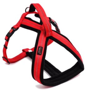 Ultimate Outdoors & Adventure Dog Harness With Handle Red