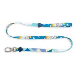 Designer Pooch Leash Geometrics and Tarrazo Blue