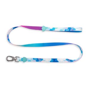 Designer Pooch Leash Hex Gradient