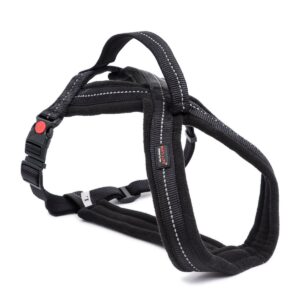 Ultimate Outdoors & Adventure Harness With Handle Black