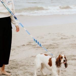 Multi-Purpose Hands Free Leash with Shock Absorb Tarrazo Blue