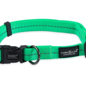 Reflective Supersoft Webbing Collar Spring Green
