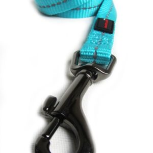 Reflective Supersoft Webbing Leash Turquoise