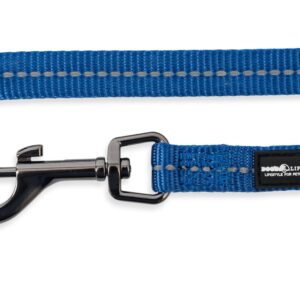 Reflective Supersoft Webbing Leash Yale Blue