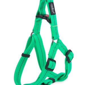 Reflective Supersoft Webbing Step-In Harness Spring Green
