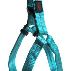 Reflective Supersoft Webbing Step-In Harness Turquoise