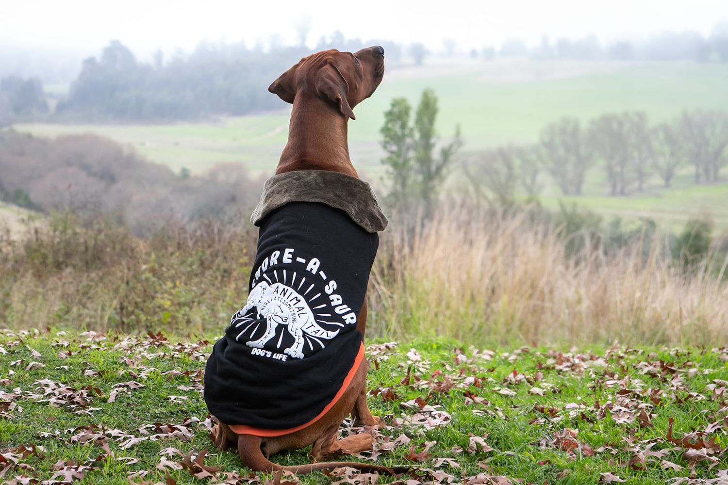 Snore-A-Saur Winter Cape Black - Image 6