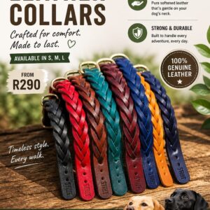 Strut Leather Collars