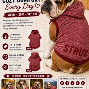 Orange Dog Hoodie