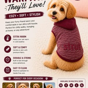 Maroon Hoodie
