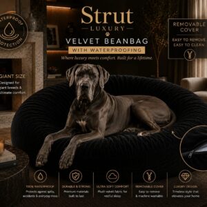 Black Bean Bag
