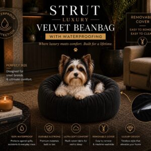 Black Velvet Waterproofed Bean Bag