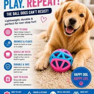 Hollow Rubber Dog Ball