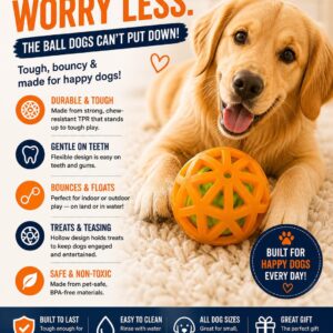 Interactive Ball-in-Ball Squeaky Toy