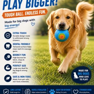 Petzone Ball Chew Toy
