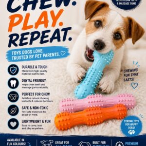 Spiky Dental Chew Stick