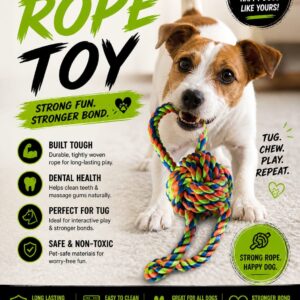 Rope Ball Tugger