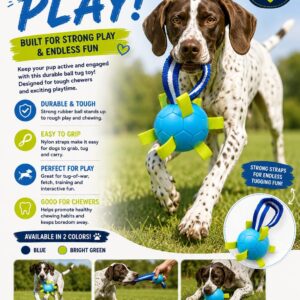 Interactive Dog Tug & Chew Ball Toy